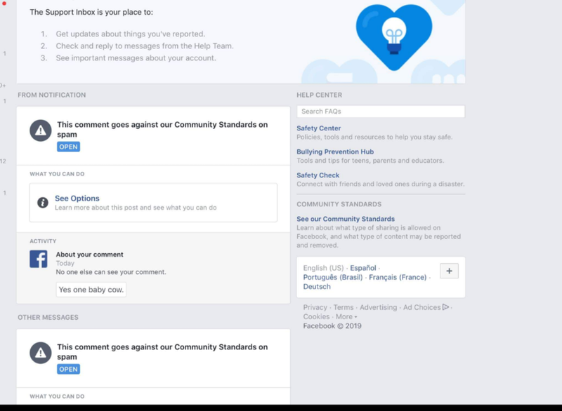 Illustration for article titled Nice algorithms, Facebook